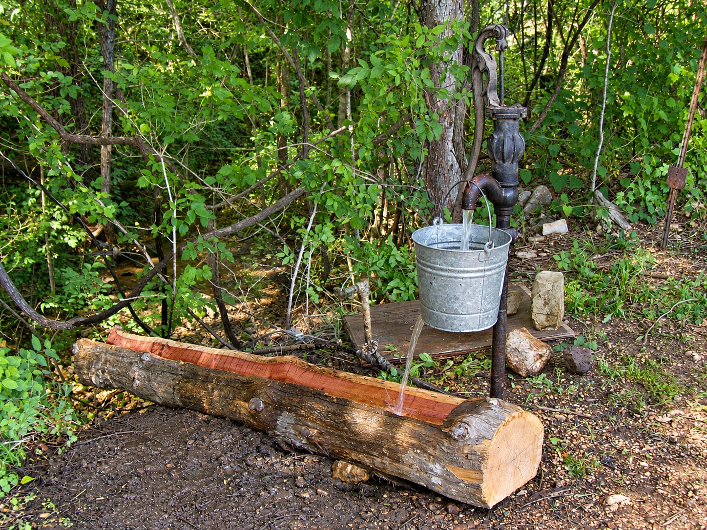 Rustic hand pump and water trough near the cabin